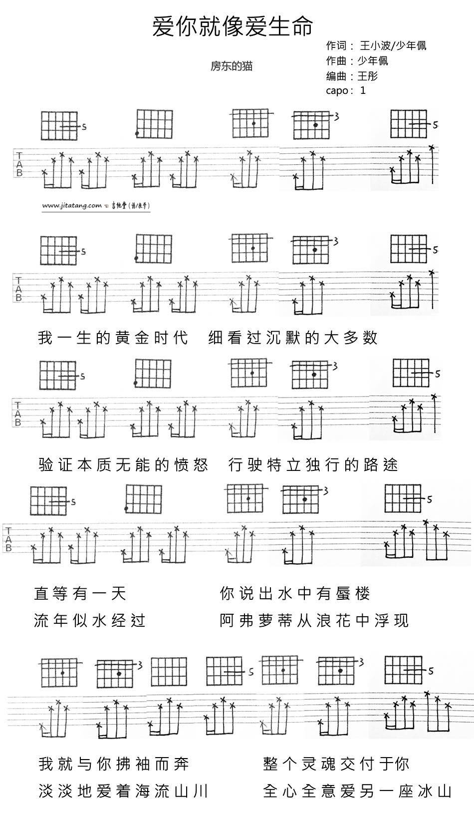 爱你就像爱生命吉他谱1-房东的猫